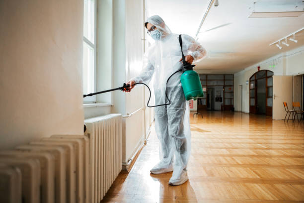 Emergency Pest Control in South Gate Ridge, FL